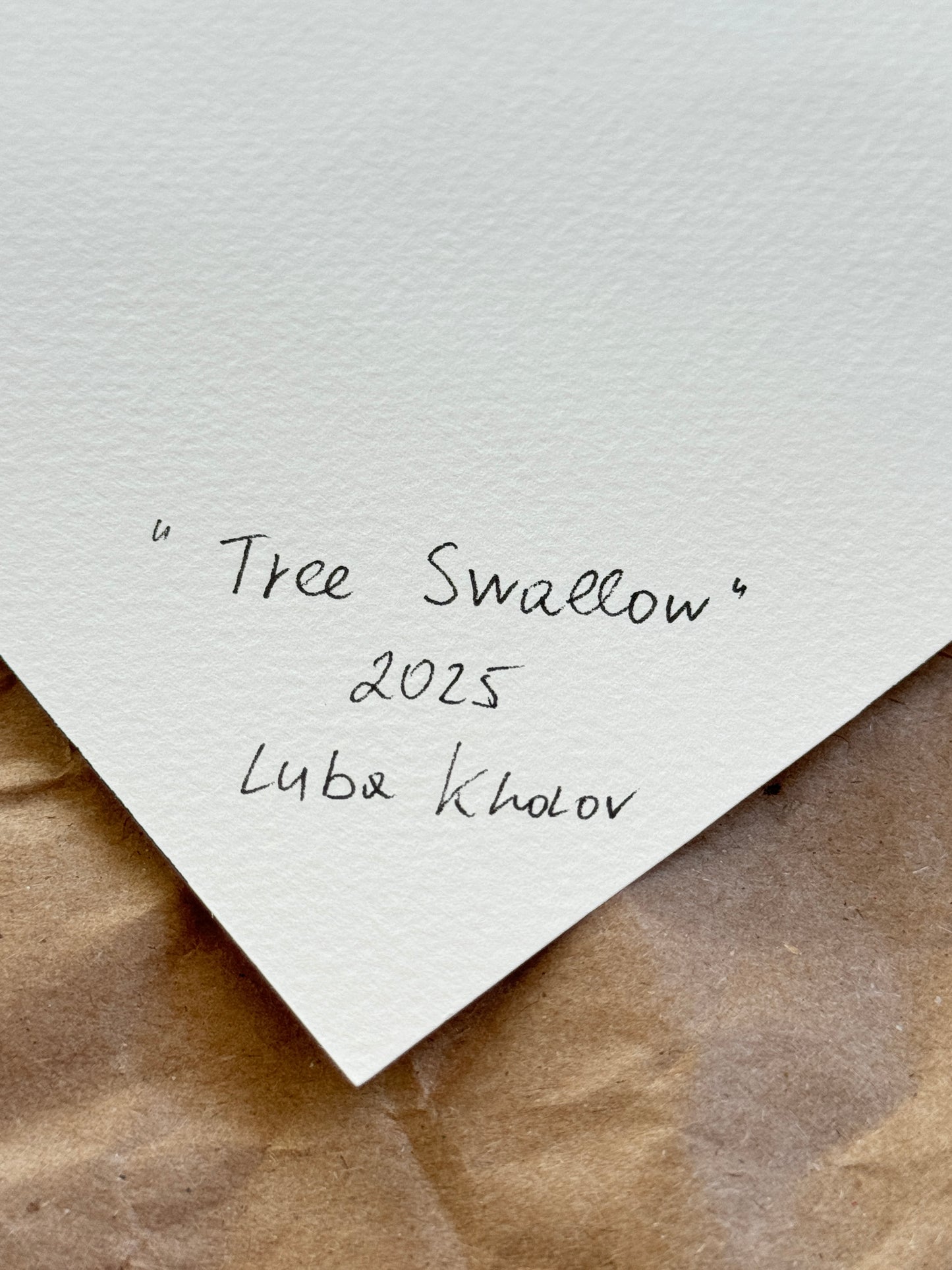 Tree Swallow Original Watercolor Art – Birds of NYC