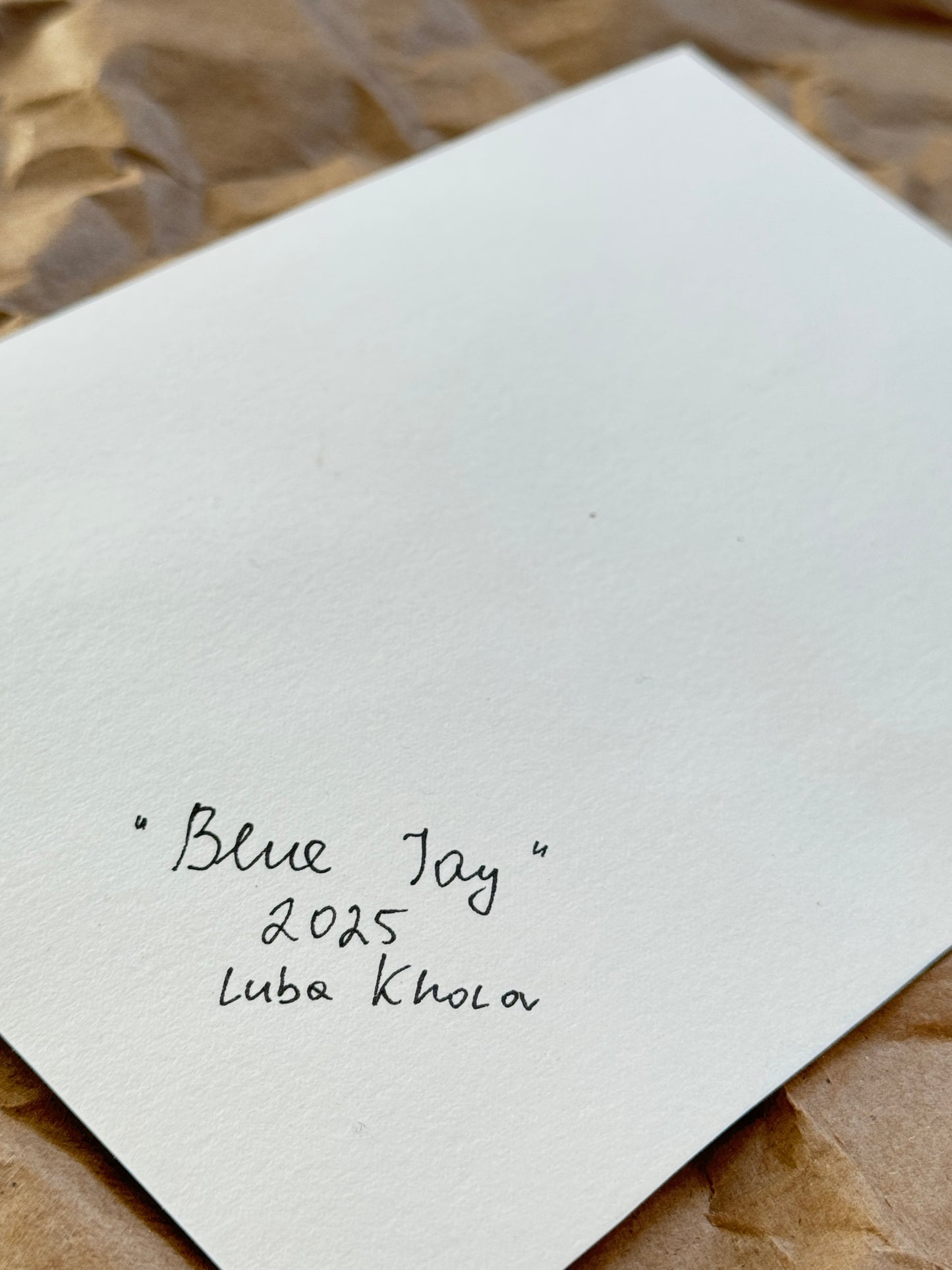 Blue Jay Original Watercolor Art – Birds of NYC