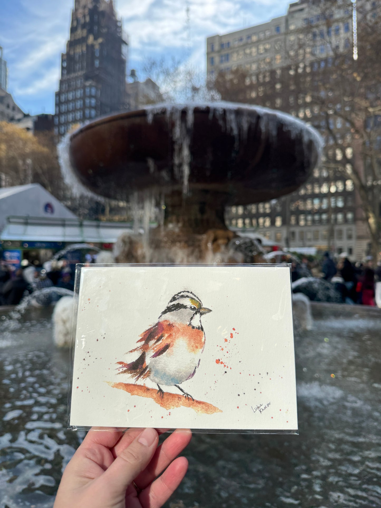 White-throated Sparrow Art Print – Birds of NYC