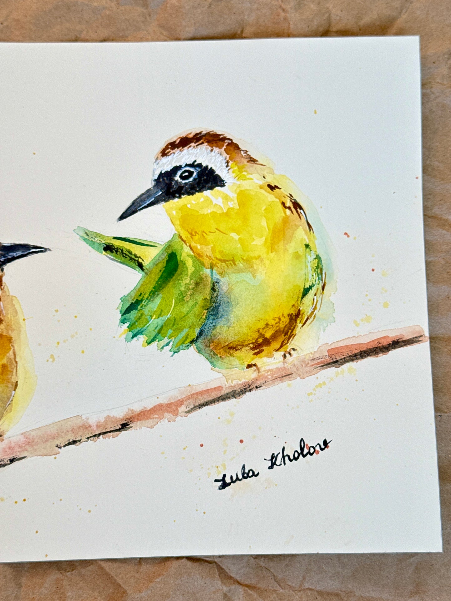 Common Yellowthroat Couple in Conversation
