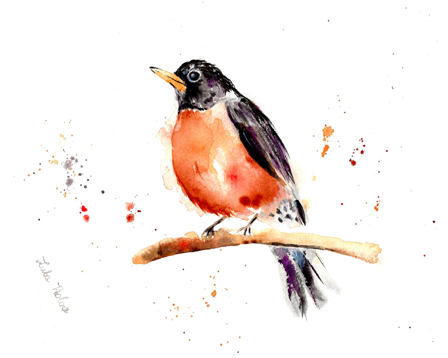 American Robin Original Watercolor Art – Birds of NYC