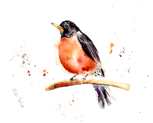 American Robin Art Print – Birds of NYC