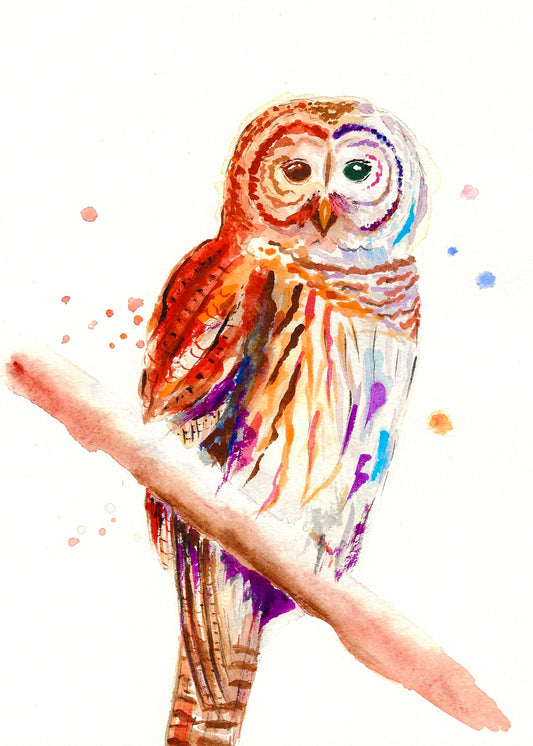 Barred Owl Art Print – Birds of NYC