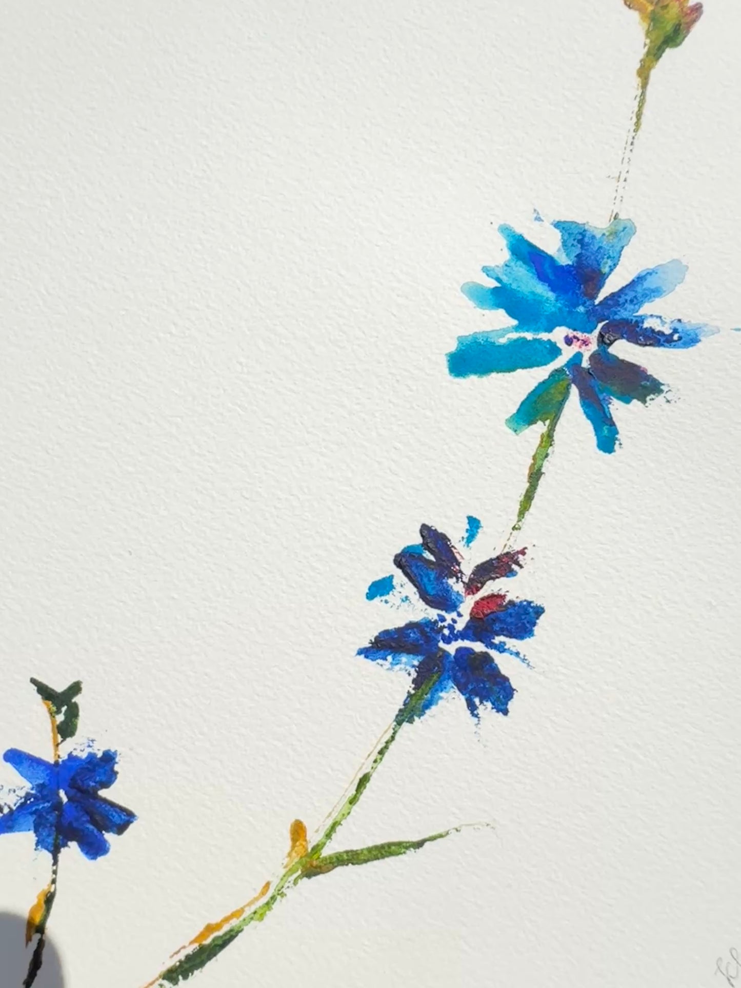 Chicory No. 2 Original Watercolor Art