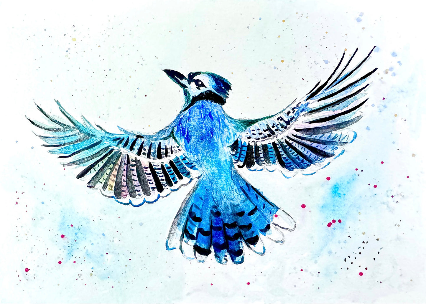 Blue Jay – NYC Bird Greeting Card