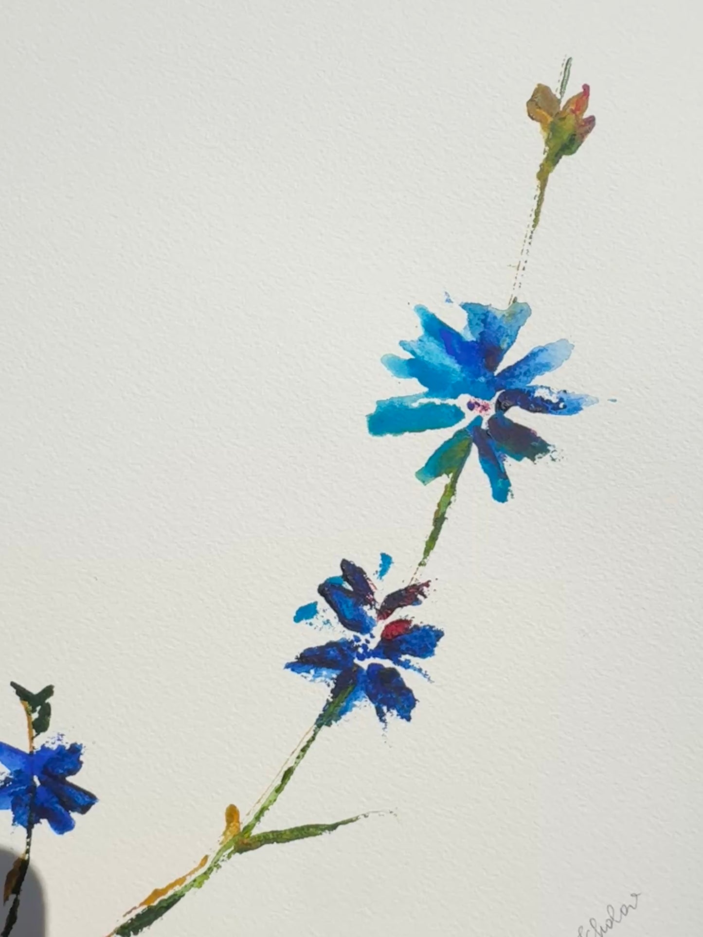Chicory No. 2 Original Watercolor Art