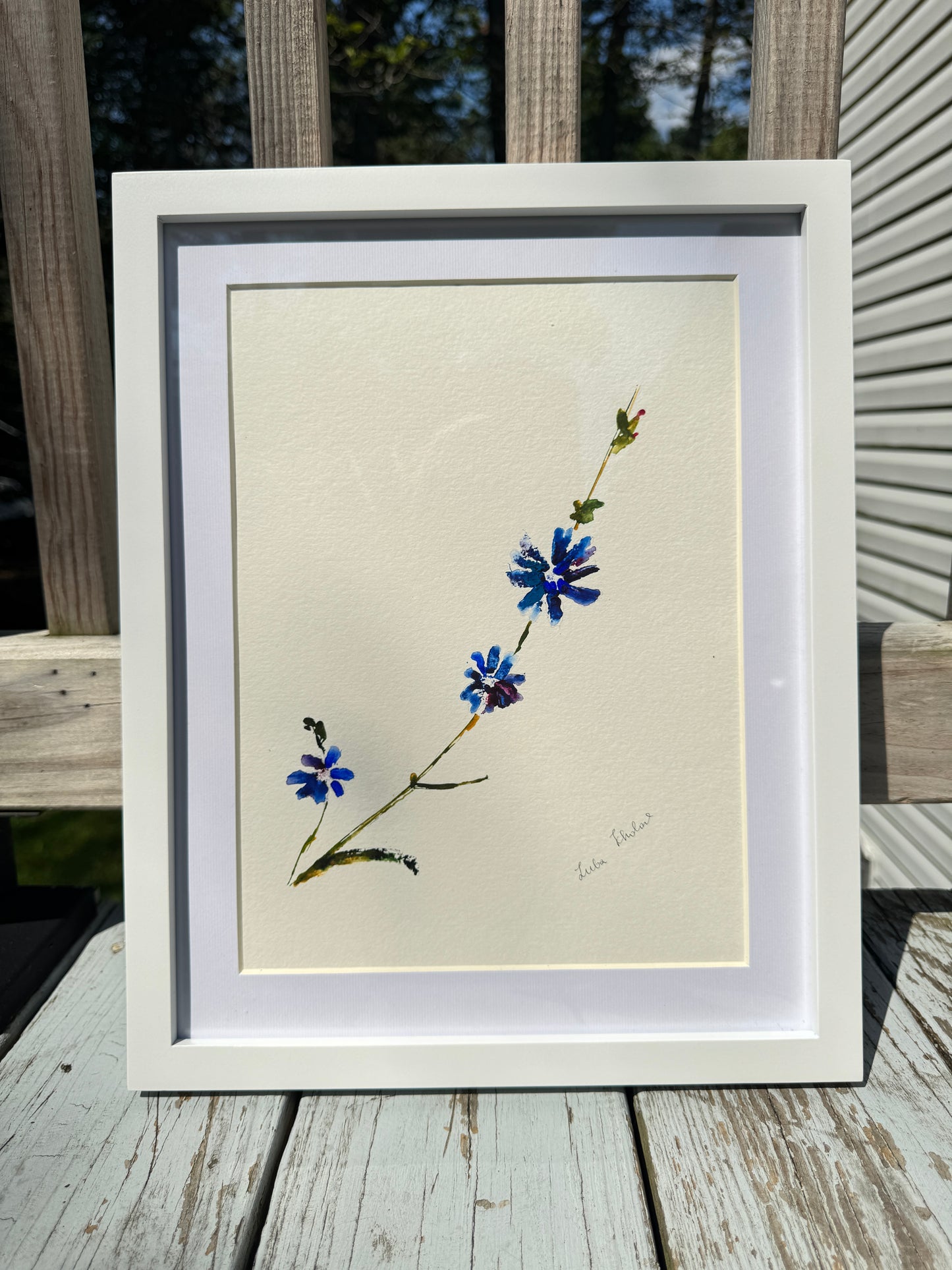 Chicory No. 1 Original Watercolor Art