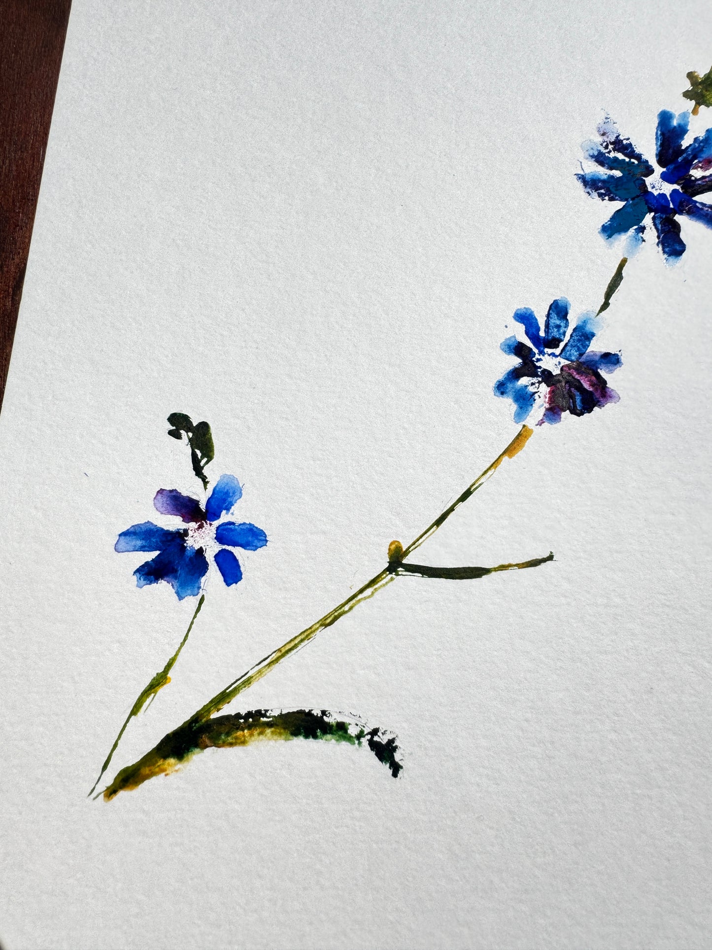 Chicory No. 1 Original Watercolor Art