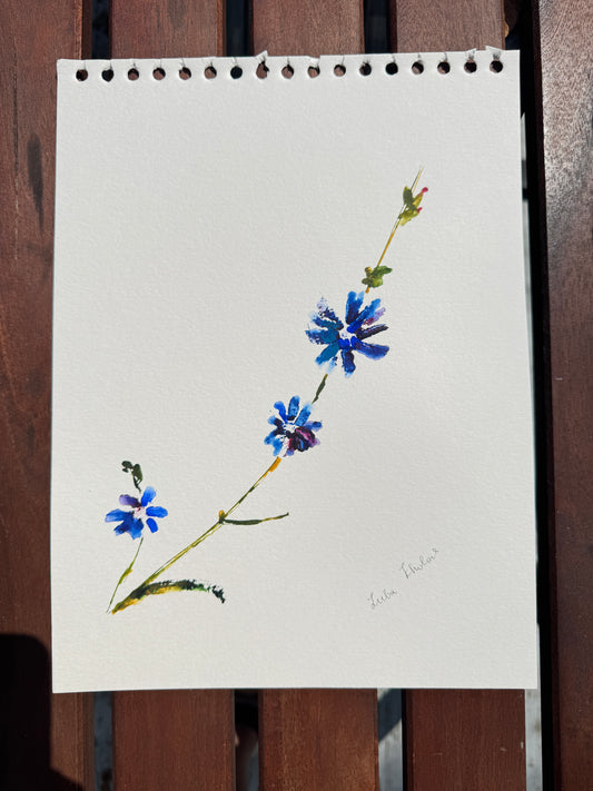 Chicory No. 1 Original Watercolor Art