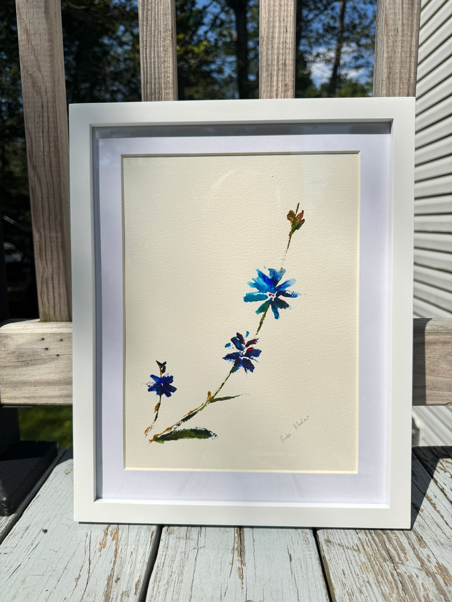 Chicory No. 2 Original Watercolor Art