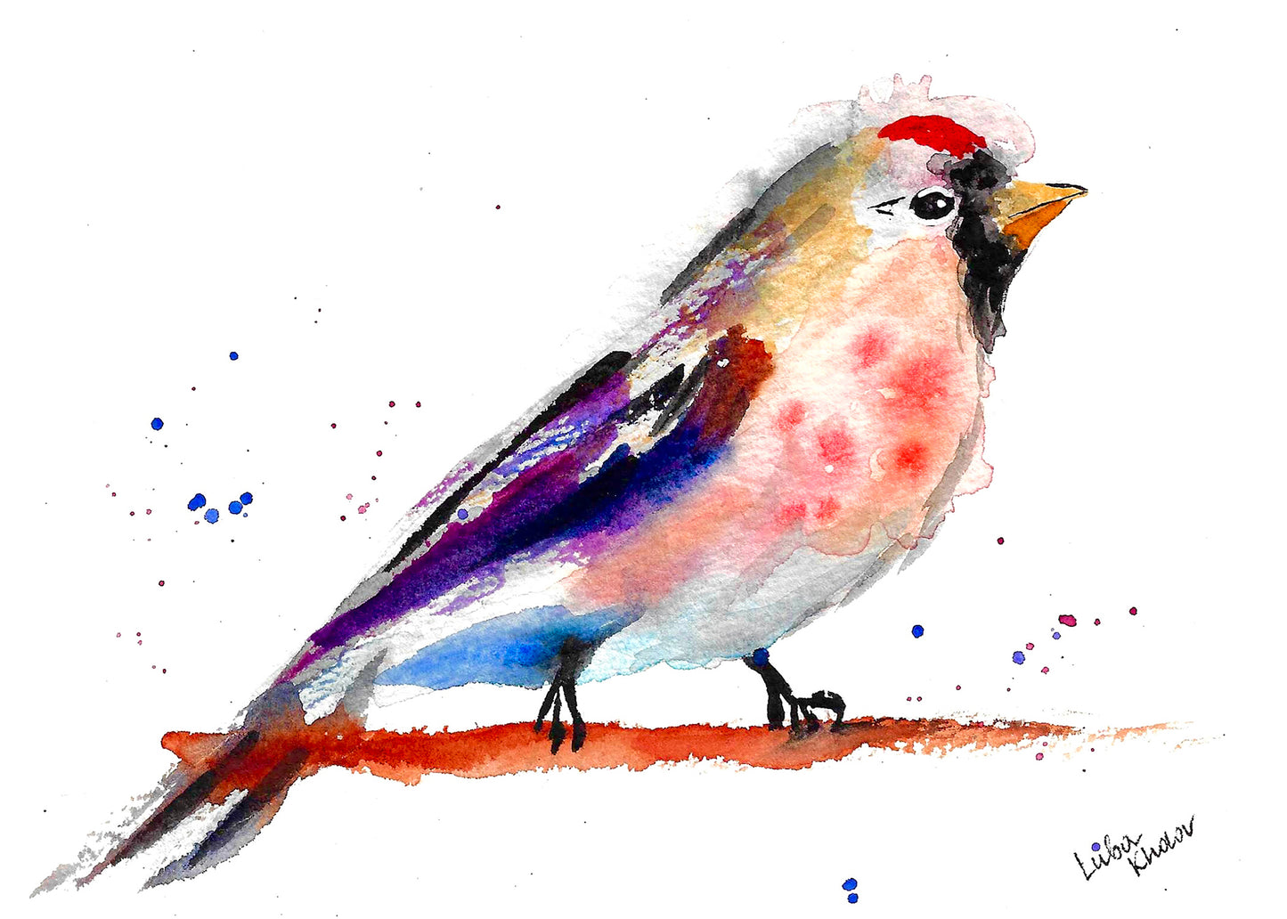 Common Redpoll Male Original Watercolor Art – Birds of NYC