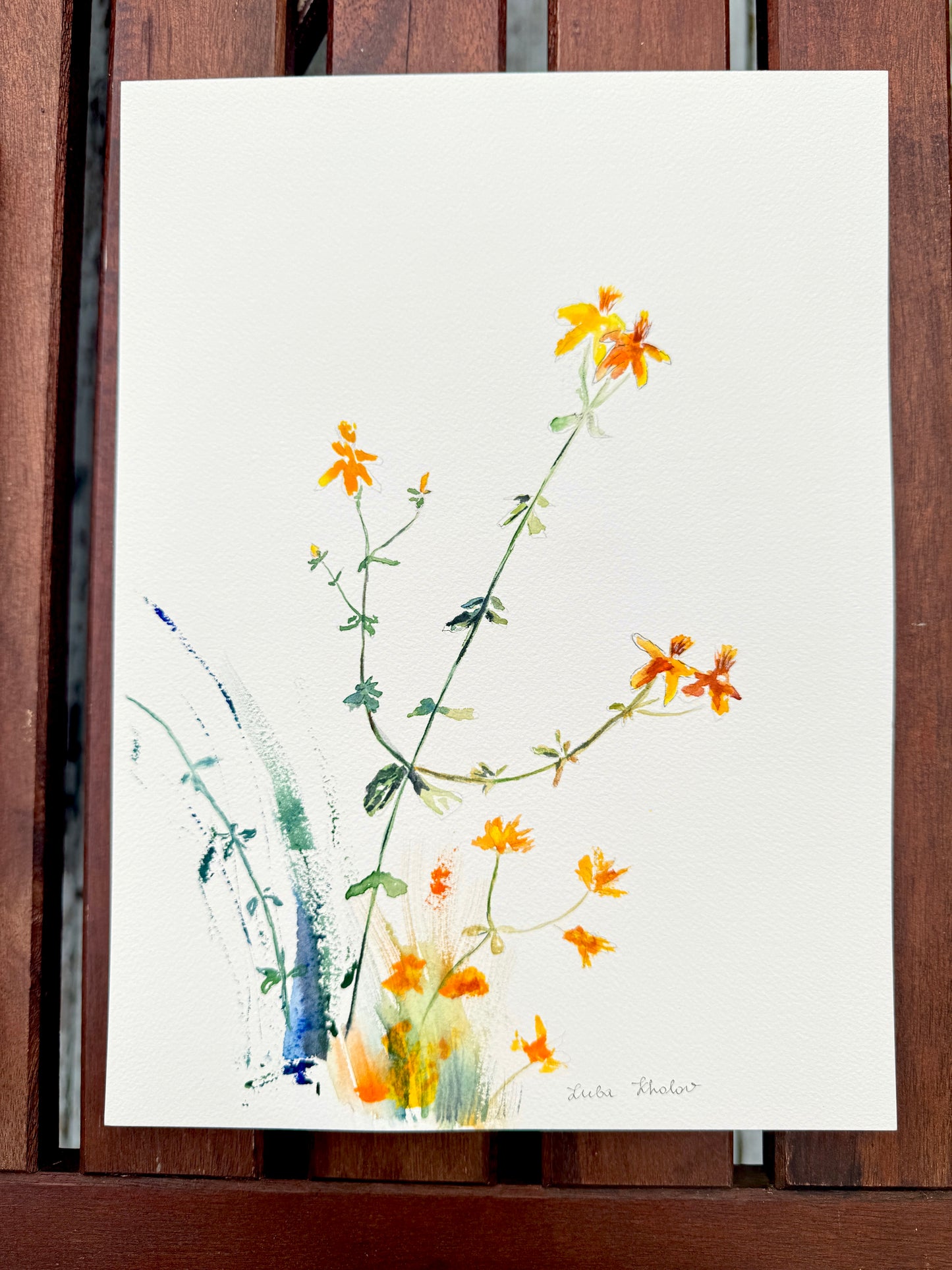 Common St. John's Wort Original Watercolor Art