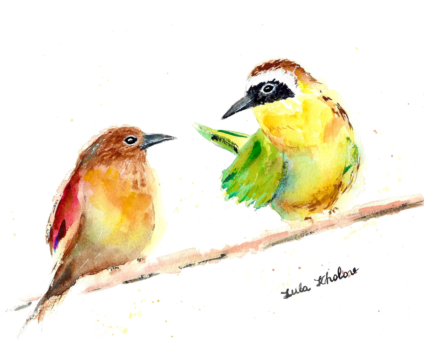 Common Yellowthroat Couple in Conversation