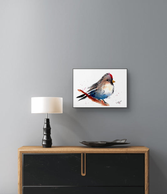 Common Redpoll Female Art Print – Birds of NYC