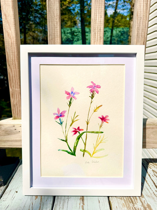 Deptford Pink Original Watercolor Art