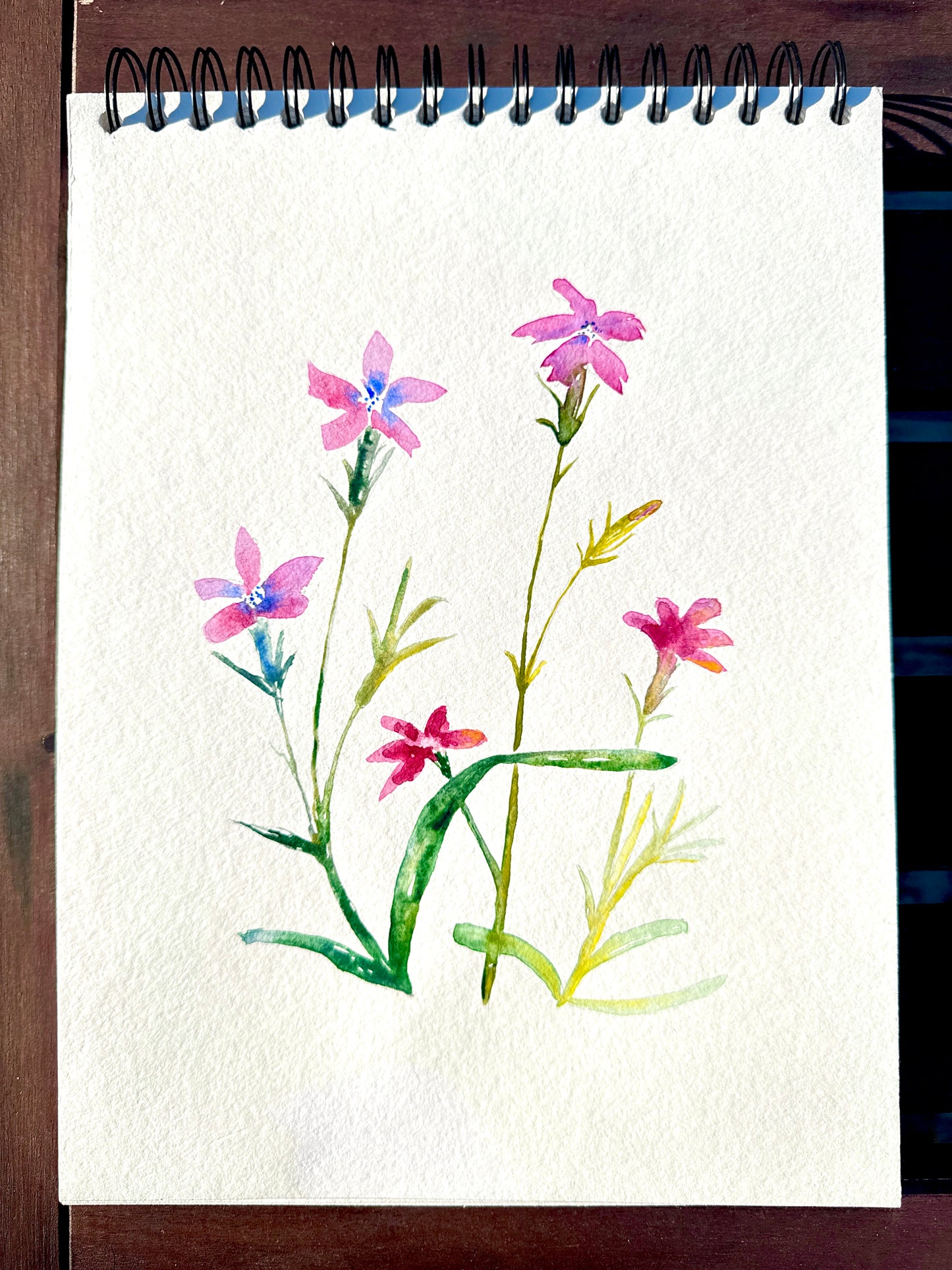 Deptford Pink Original Watercolor Art