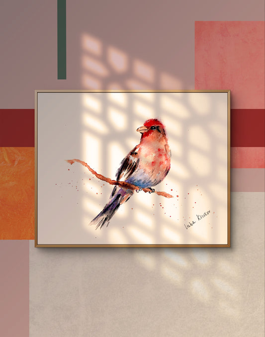 House Finch Art Print – Birds of NYC