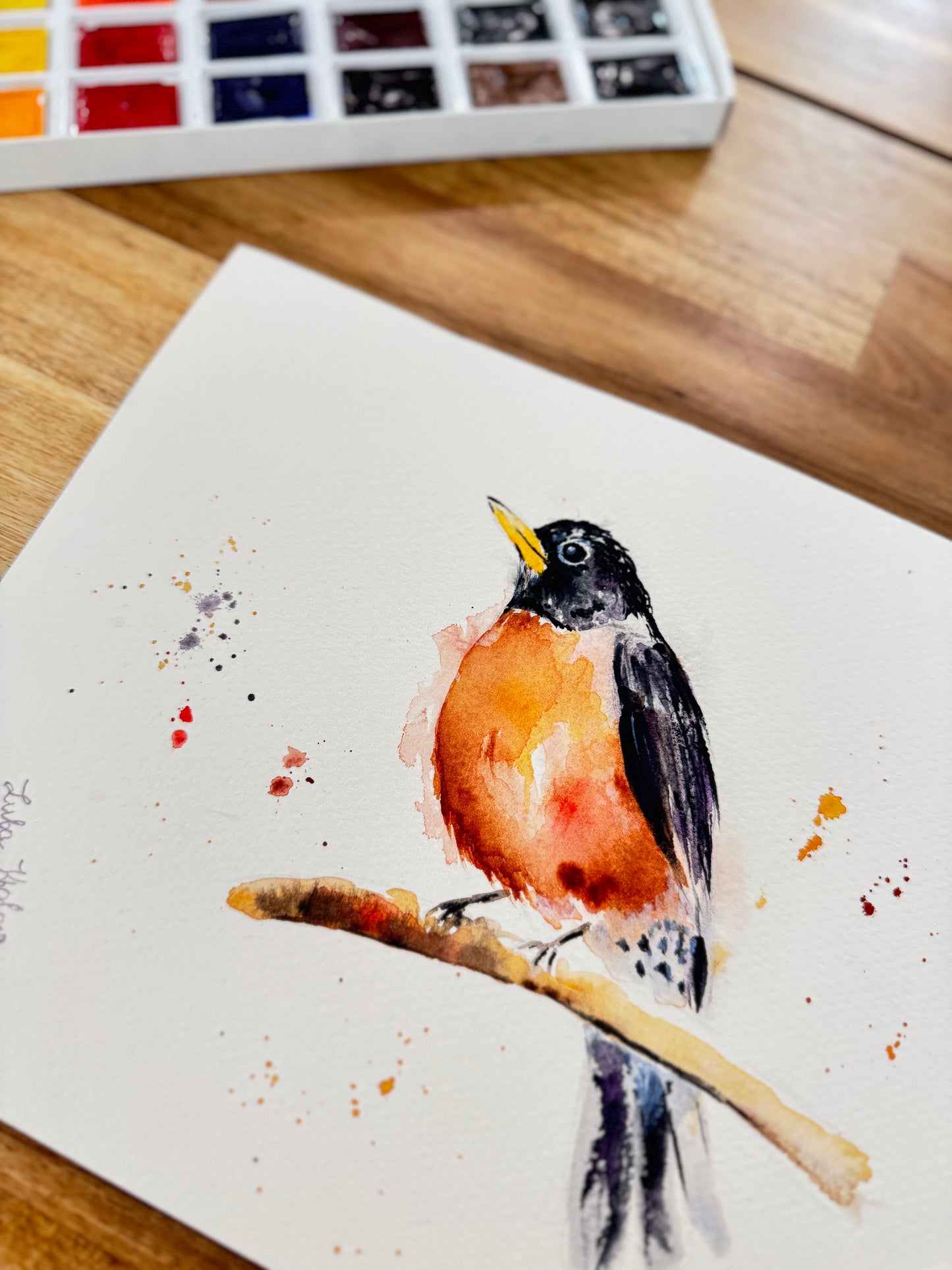 American Robin Art Print – Birds of NYC