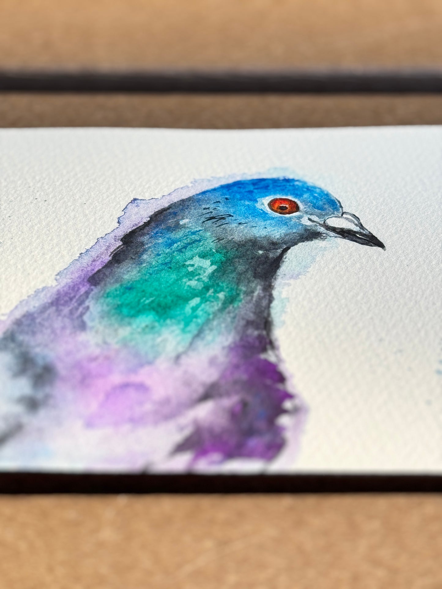 Pegion-In-Waiting Original Watercolor Art – Birds of NYC