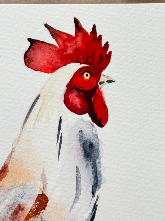 Rooster Original Watercolor Art – Birds of NYC