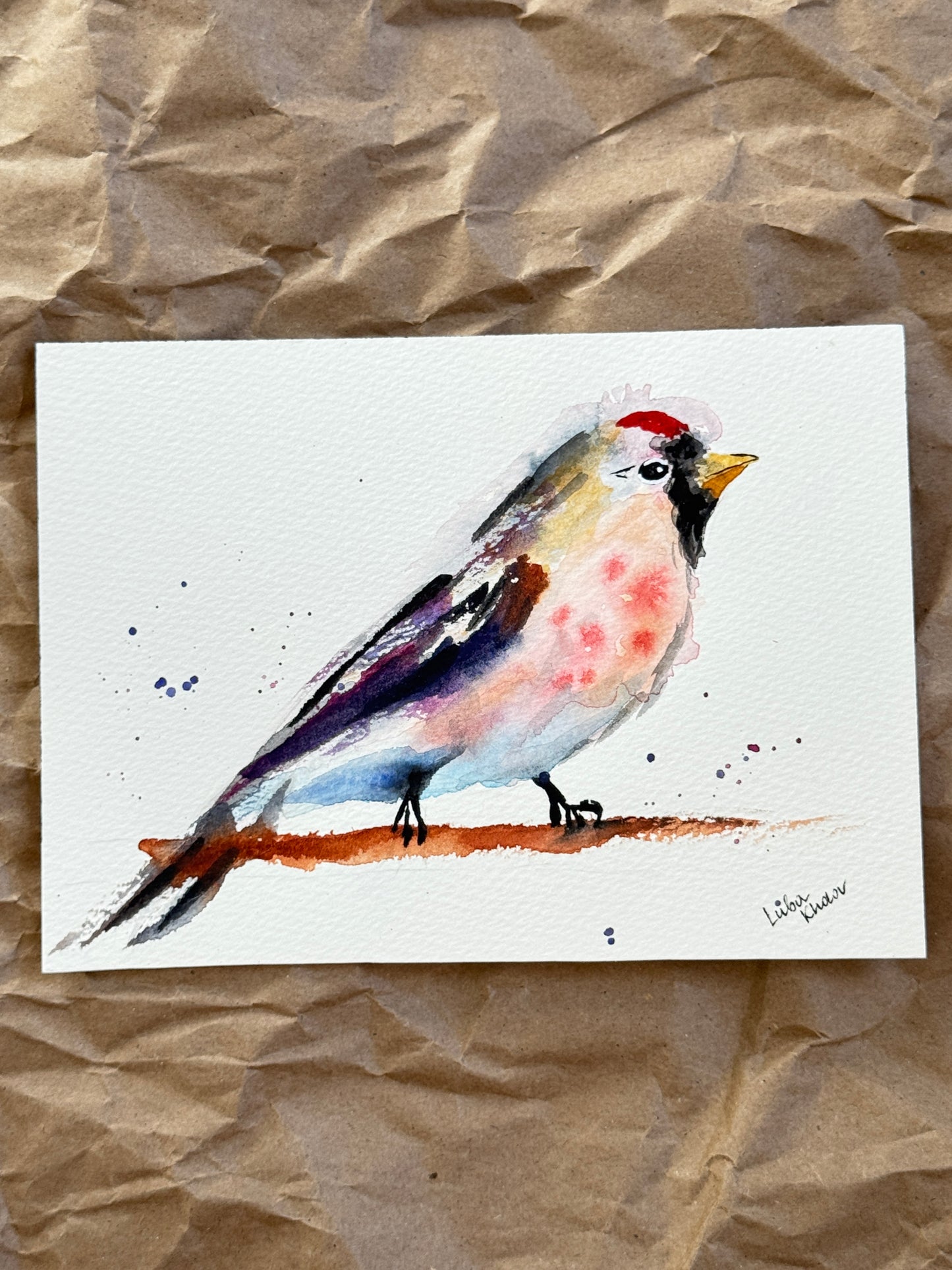 Common Redpoll Male Original Watercolor Art – Birds of NYC