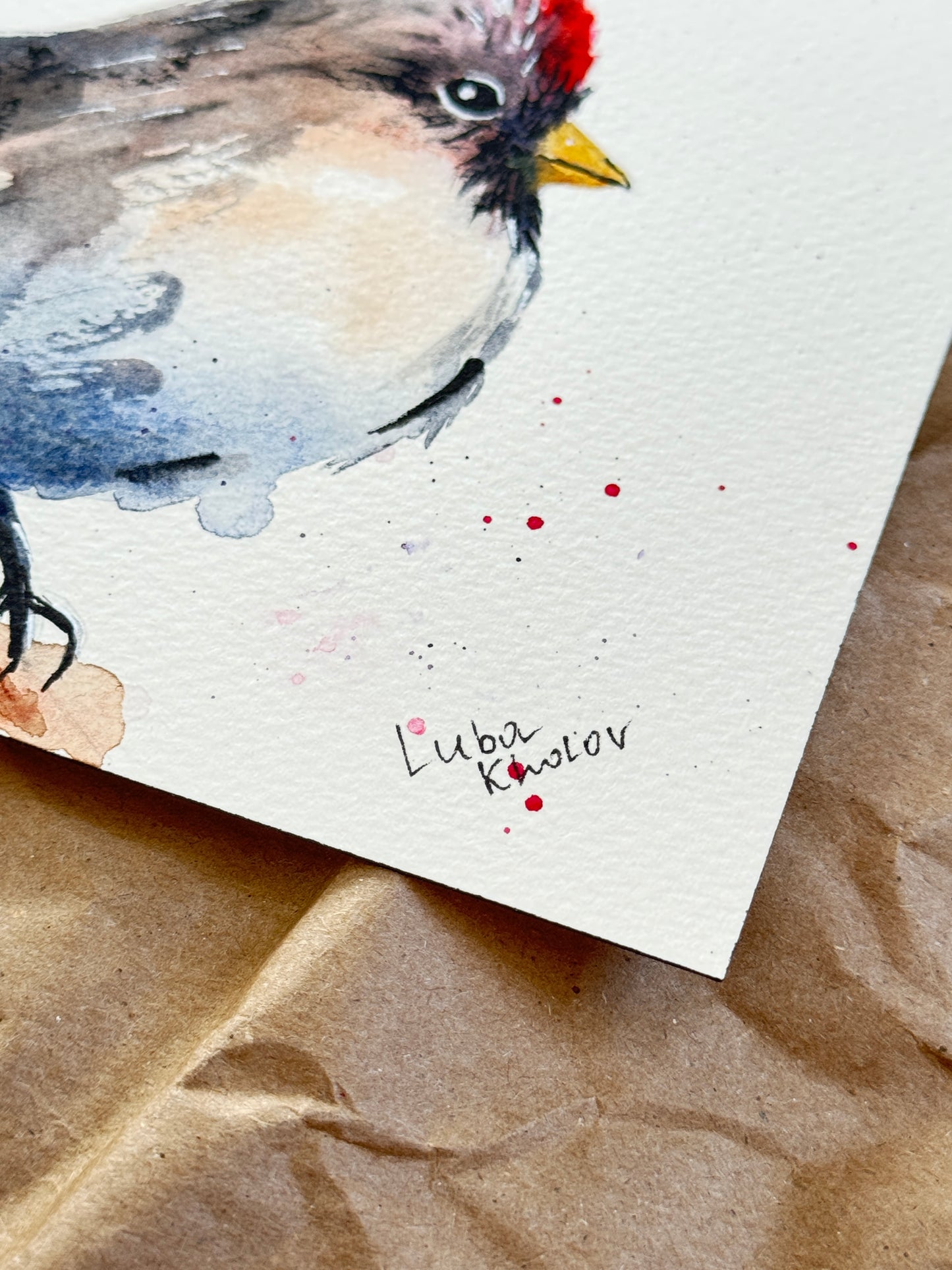 Common Redpoll Female Original Watercolor Art – Birds of NYC