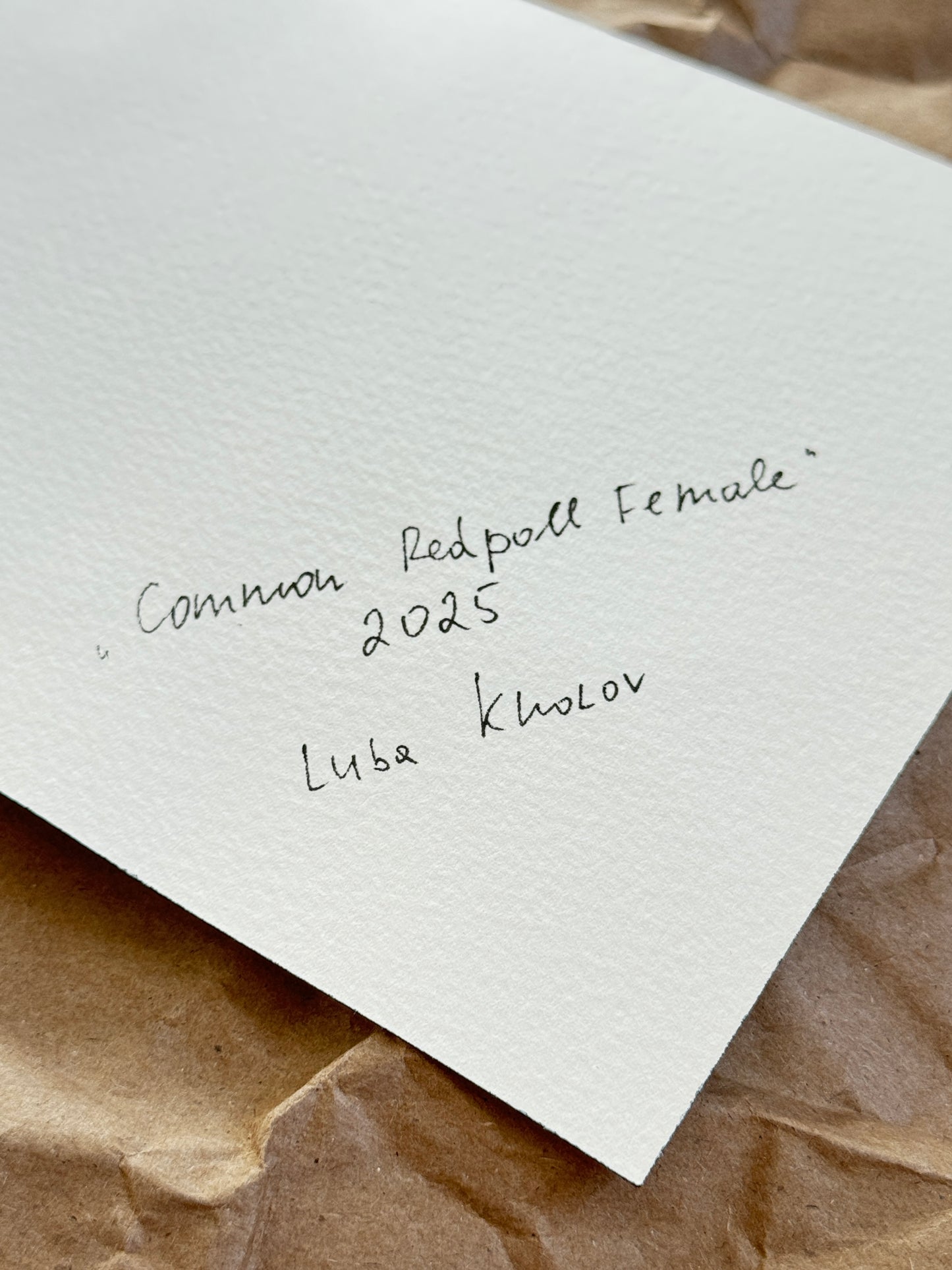 Common Redpoll Female Original Watercolor Art – Birds of NYC