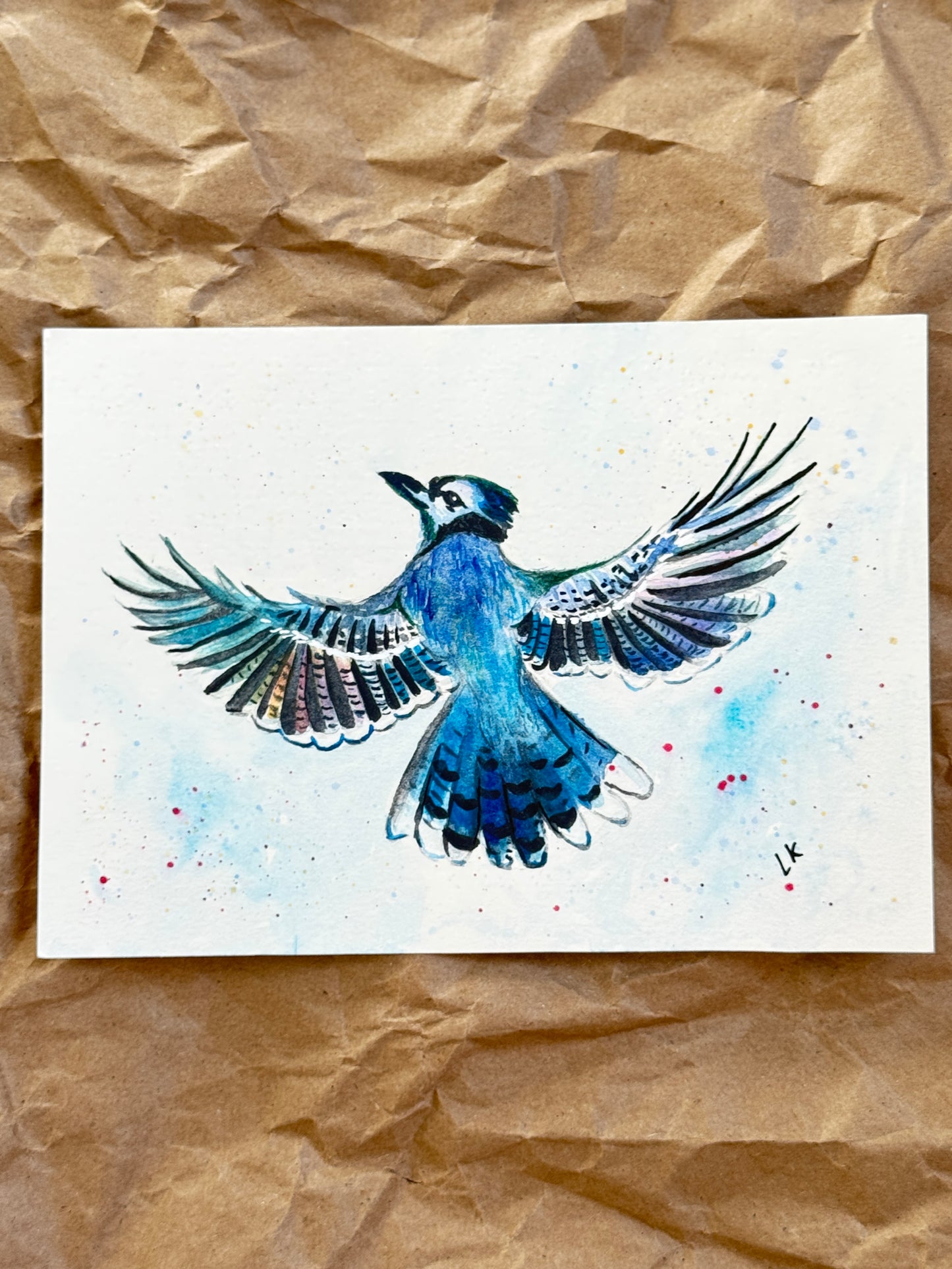 Blue Jay Original Watercolor Art – Birds of NYC