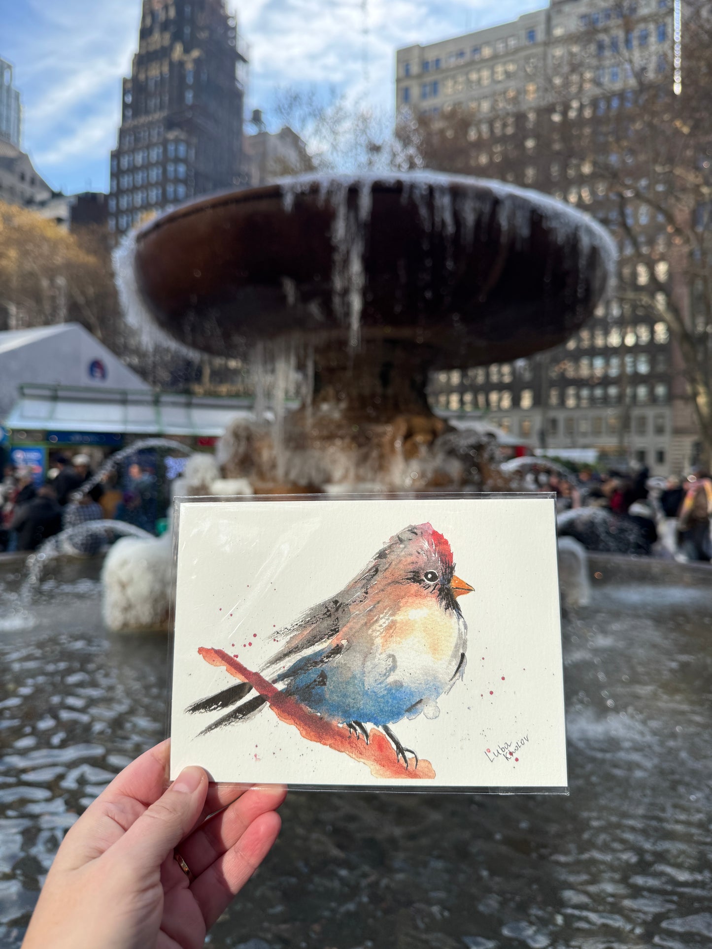Common Redpoll Female Art Print – Birds of NYC