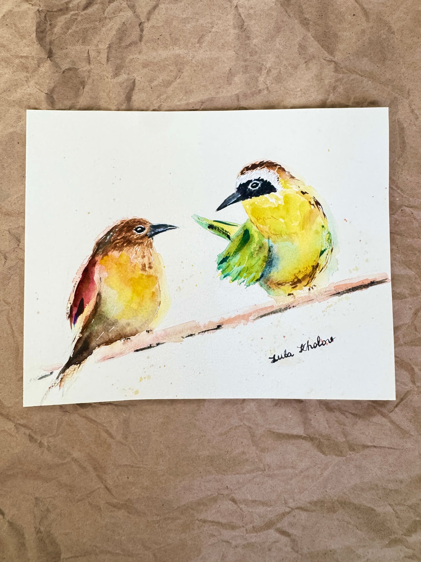 Common Yellowthroat Couple in Conversation