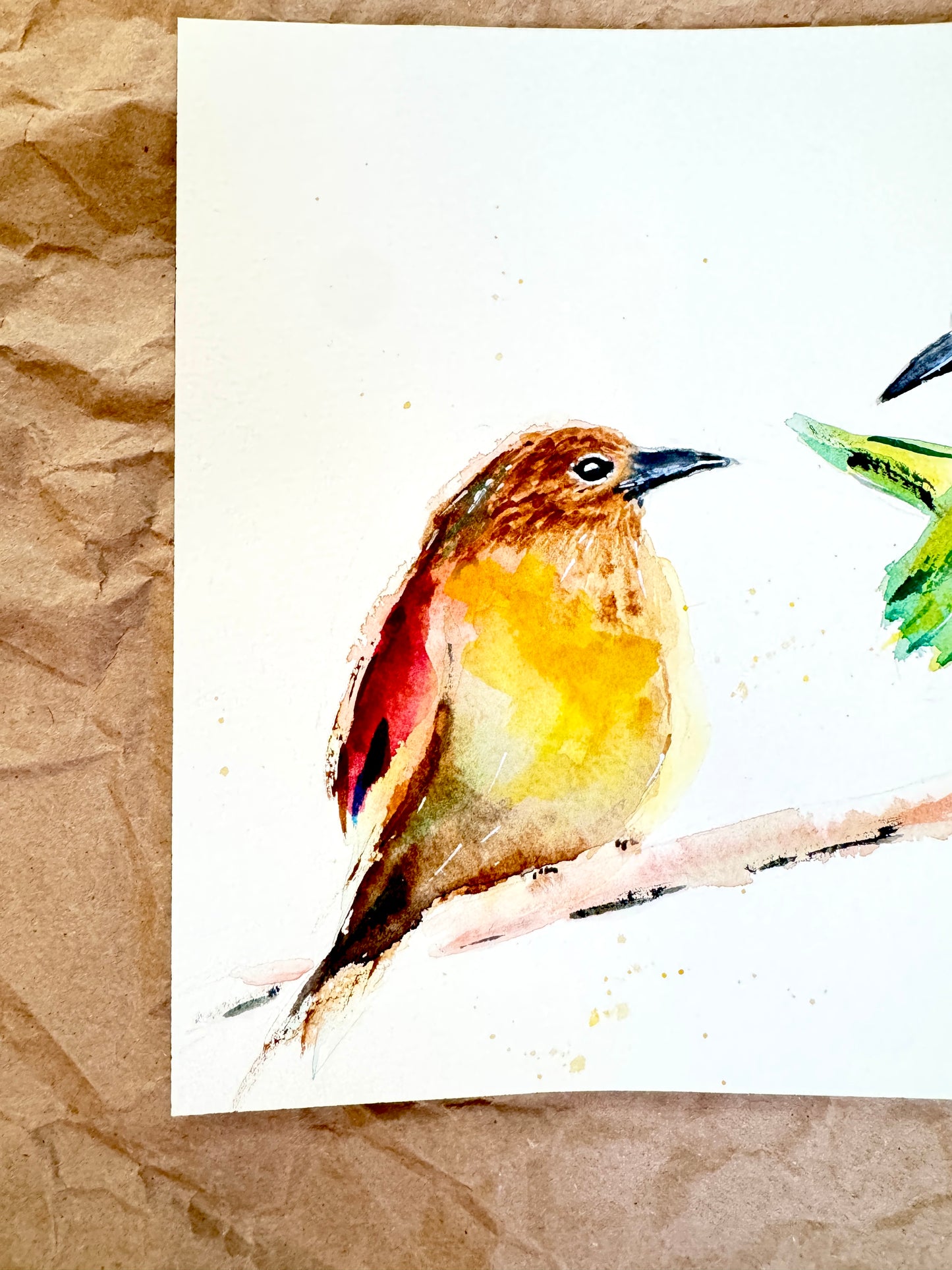 Common Yellowthroat Couple in Conversation