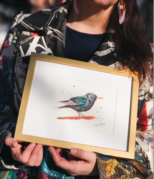 Determined European Starling Original Watercolor Art – Birds of NYC