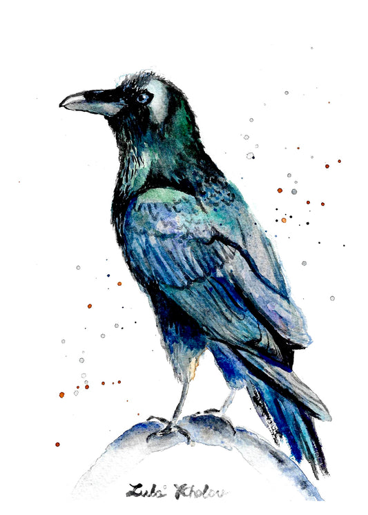 Common Raven Art Print – Birds of NYC