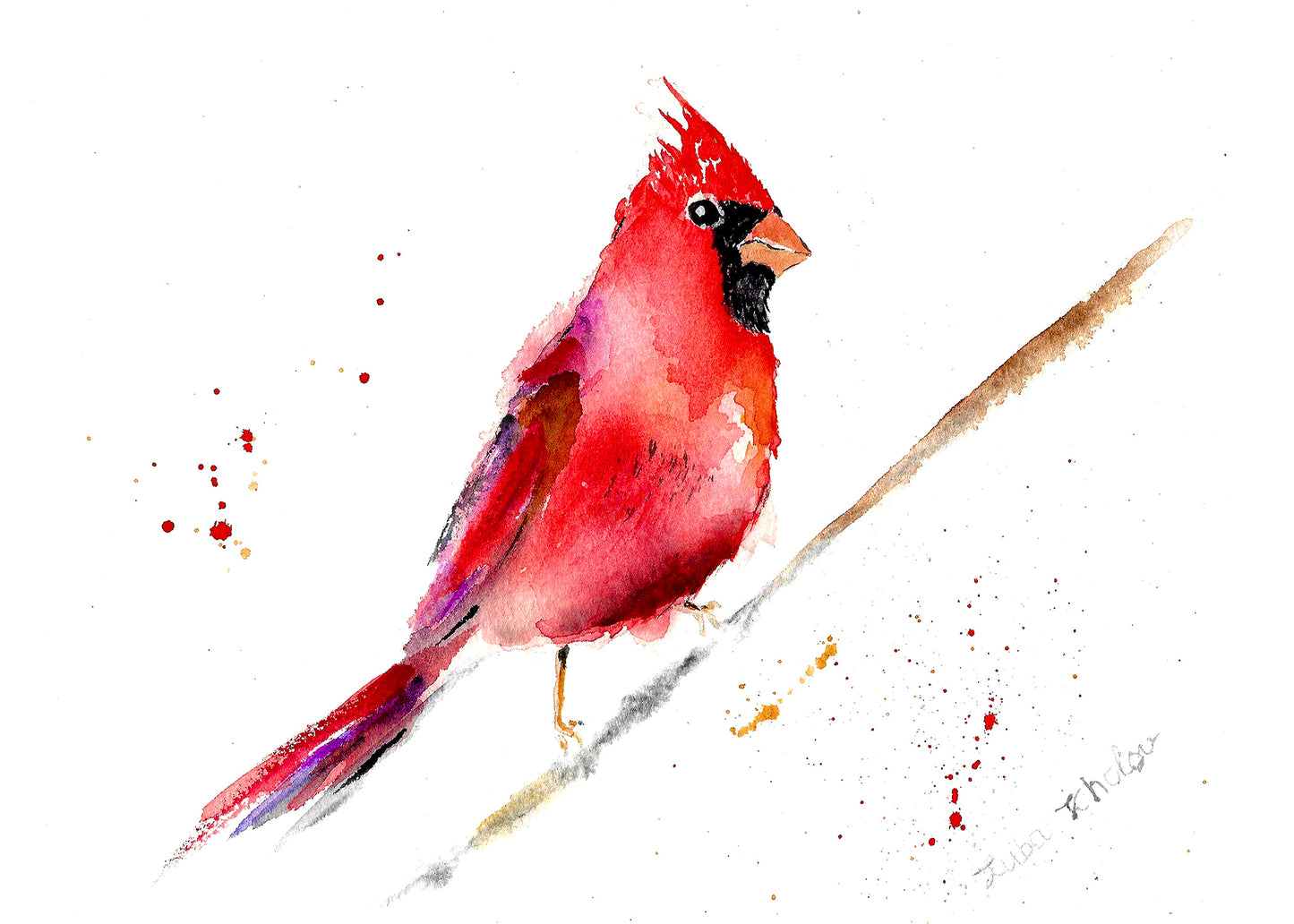 Red Cardinal Art Print – Birds of NYC