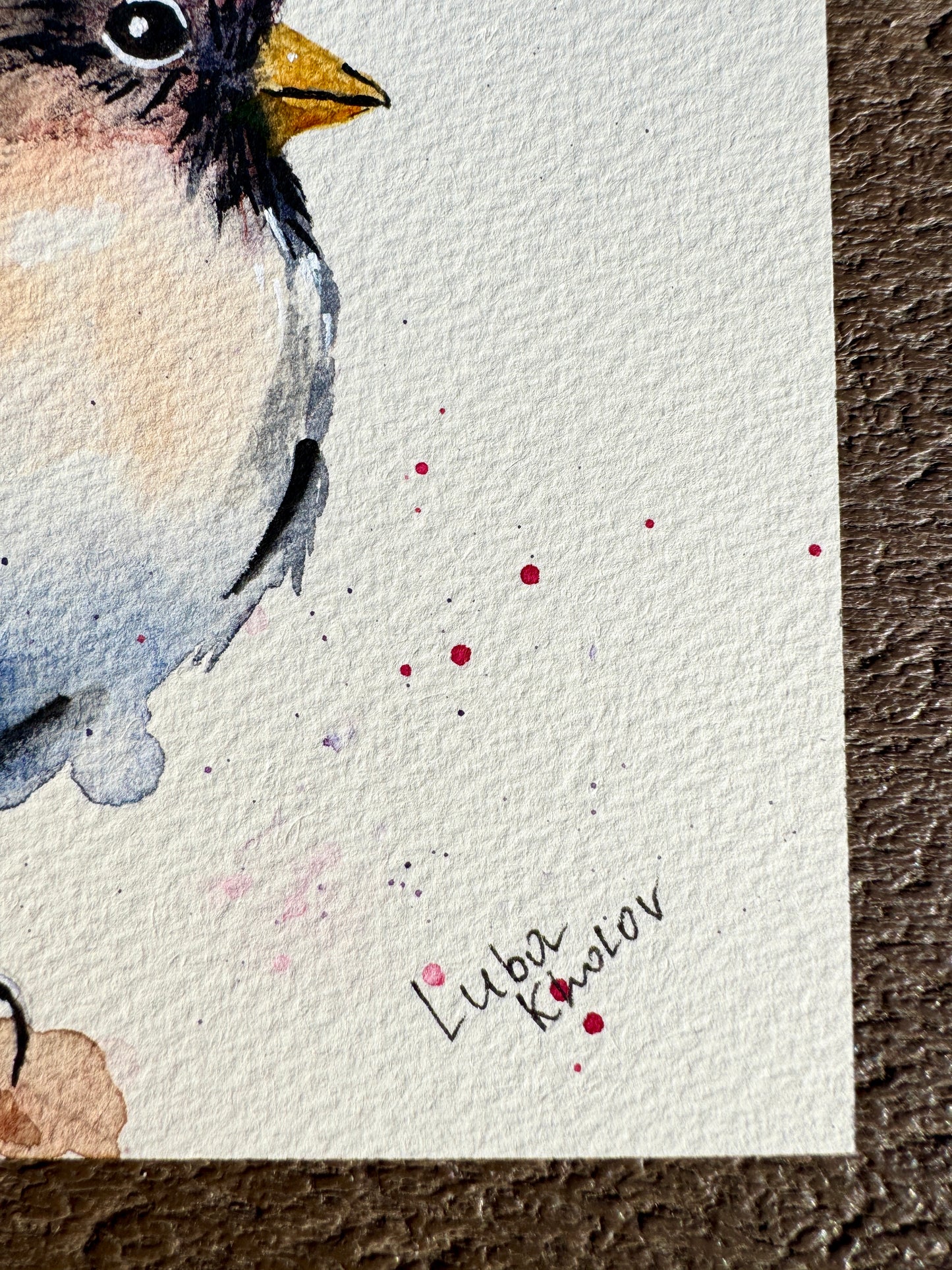 Common Redpoll Female Original Watercolor Art – Birds of NYC