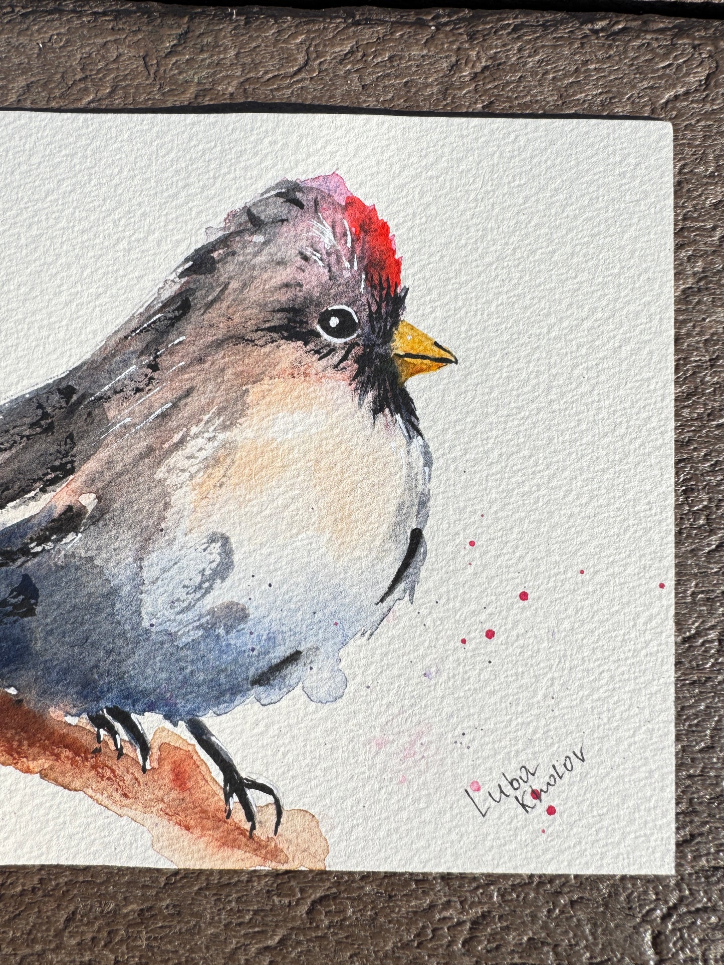 Common Redpoll Female Original Watercolor Art – Birds of NYC