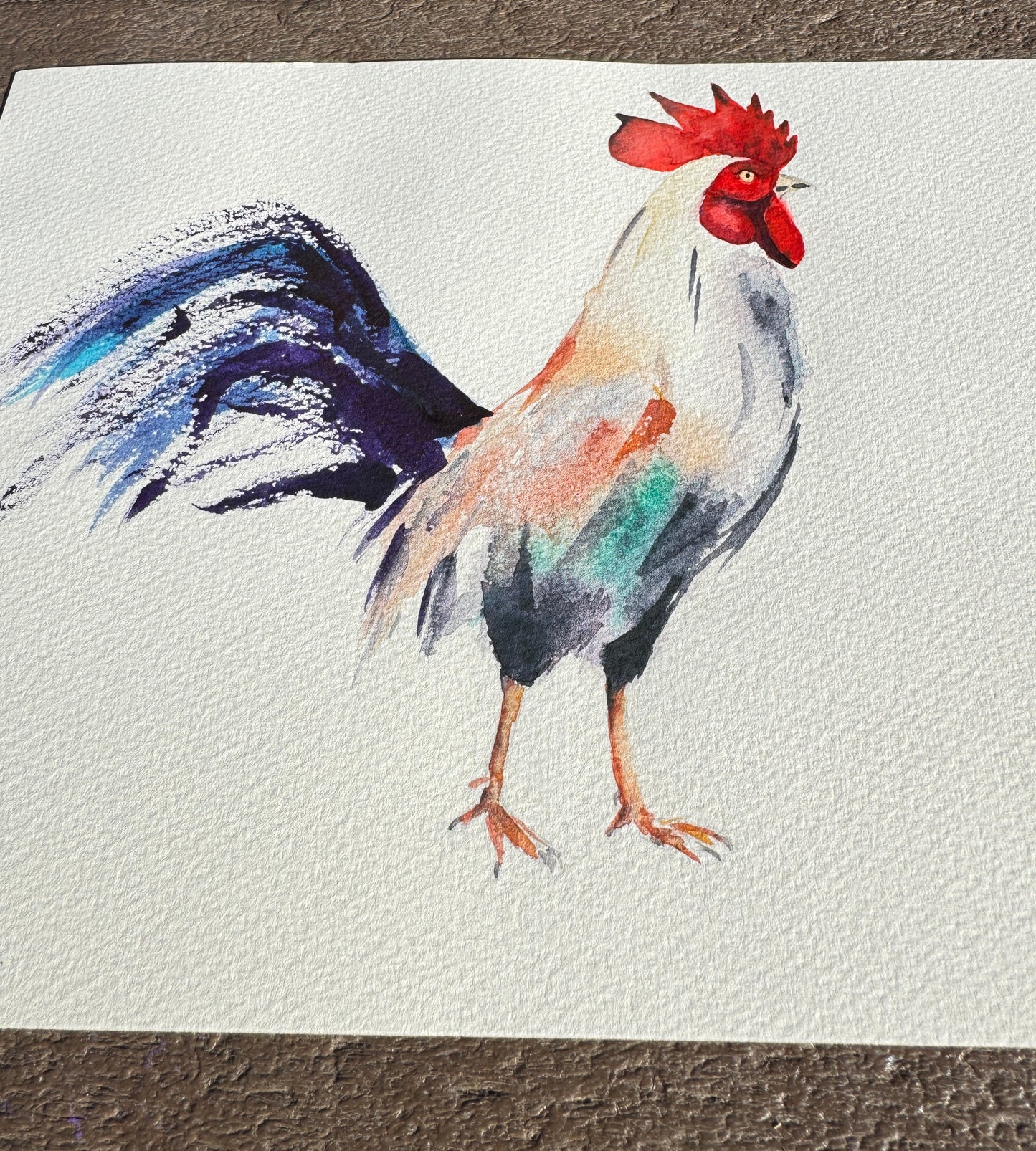 Rooster Original Watercolor Art – Birds of NYC