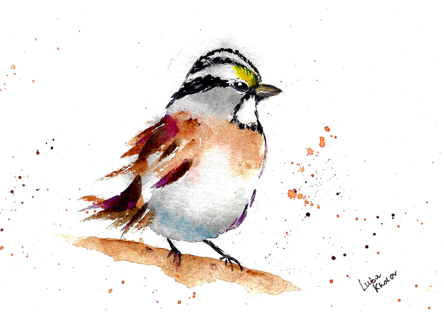 White-throated Sparrow Art Print – Birds of NYC