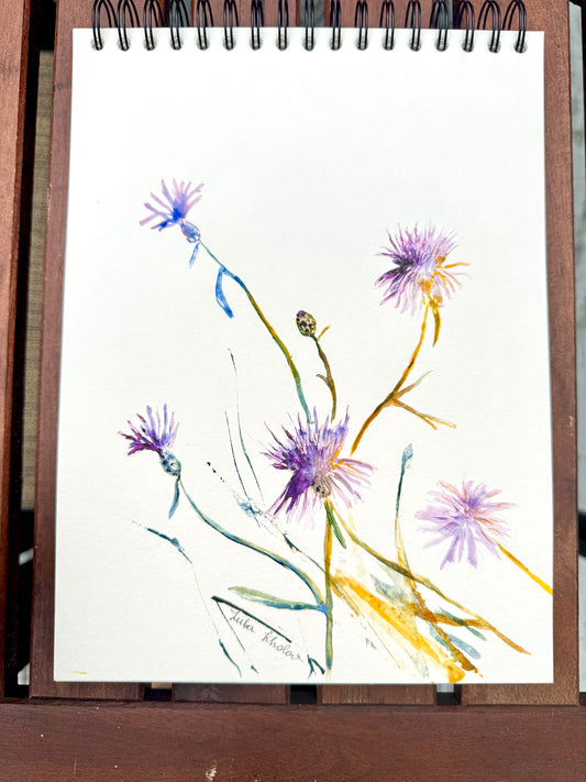 Spotted Knapweed Original Watercolor Art