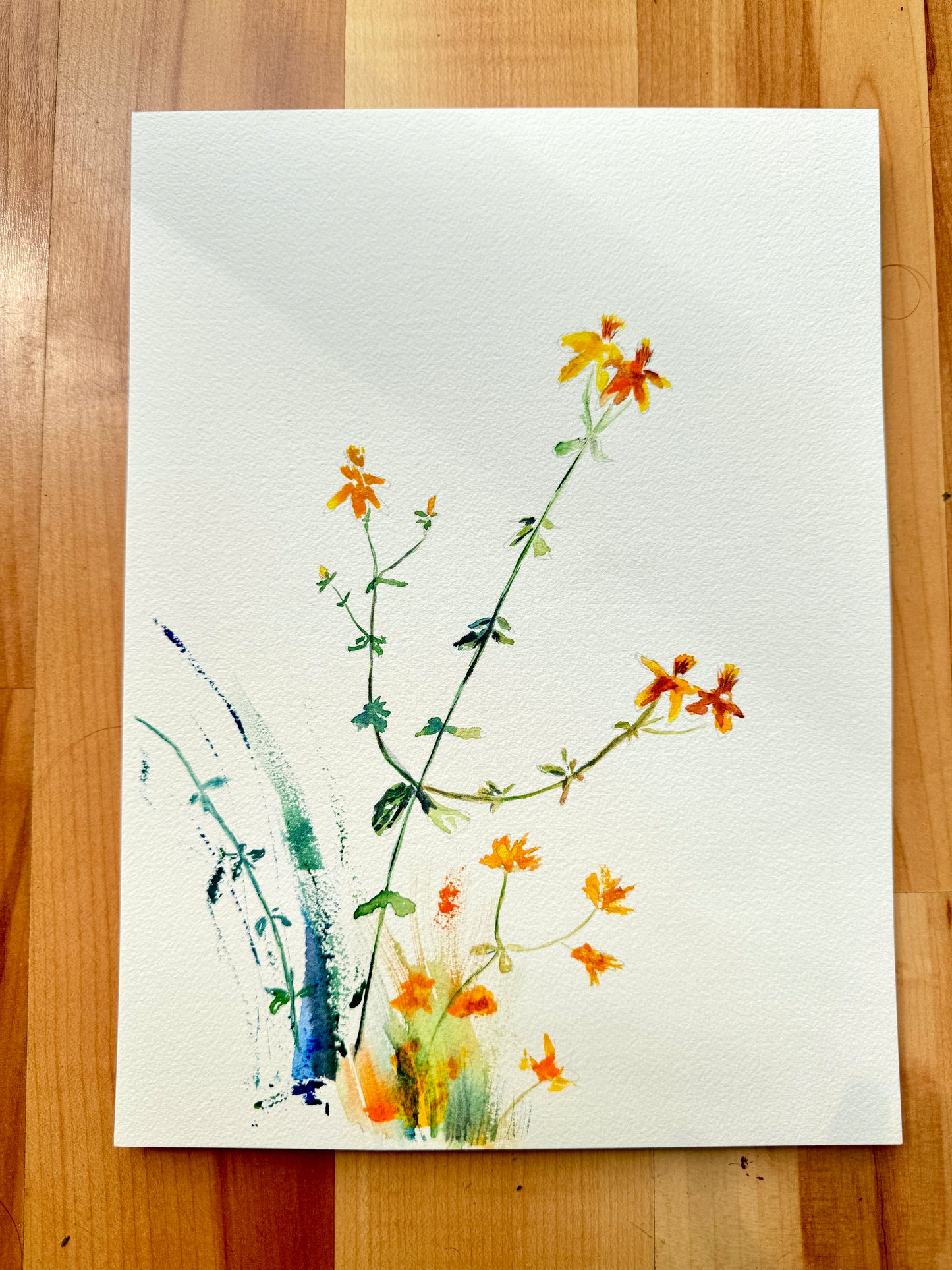 Common St. John's Wort Original Watercolor Art